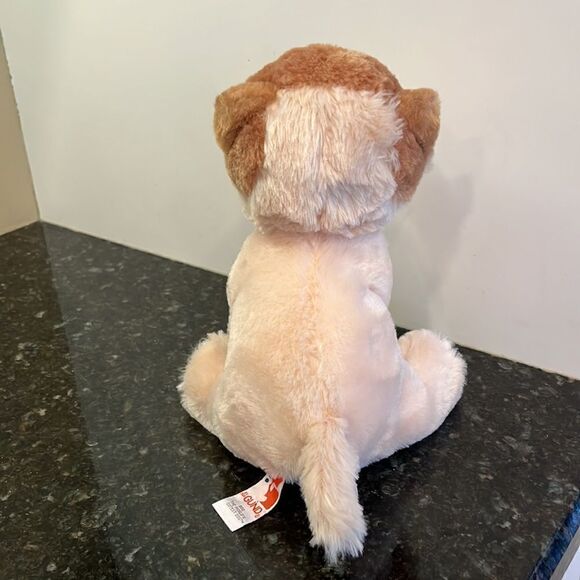 Gund Boo Dog Plush The Worlds Cutest Dog 10" Pomeranian Stuffed Animal - Picture 5 of 7